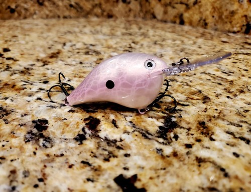 Custom painted rapala - custom,