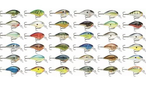 Rapala - , (dives-to)