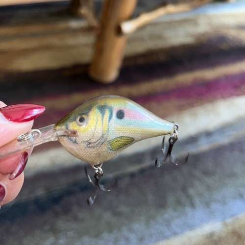 Rapala crankbait live - crankbait,