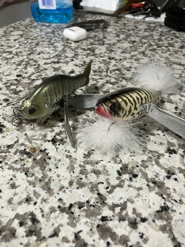 Crawler baits - crawler,