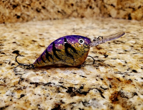 Custom painted rapala - painted, dt10