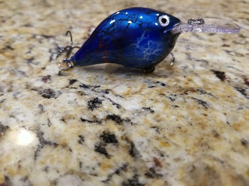Custom painted rapala - painted,