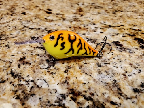 Custom painted rapala - dt-6,