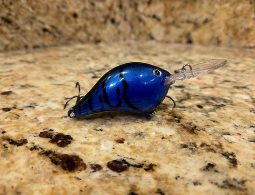 Custom painted rapala 8 - custom,
