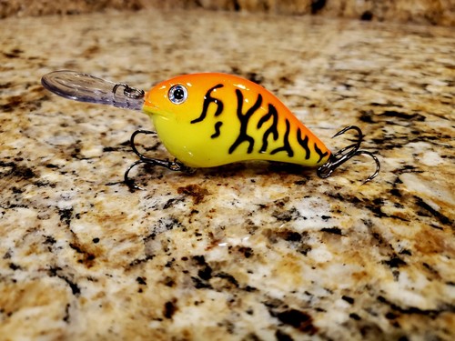 Custom painted rapala dt10 - rapala,