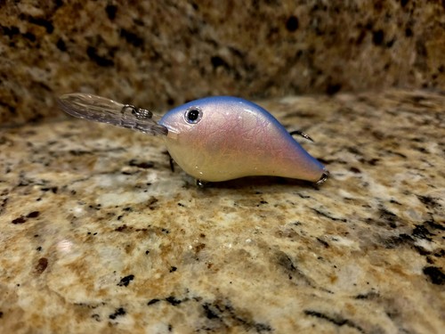 Custom painted rapala 8 - custom,