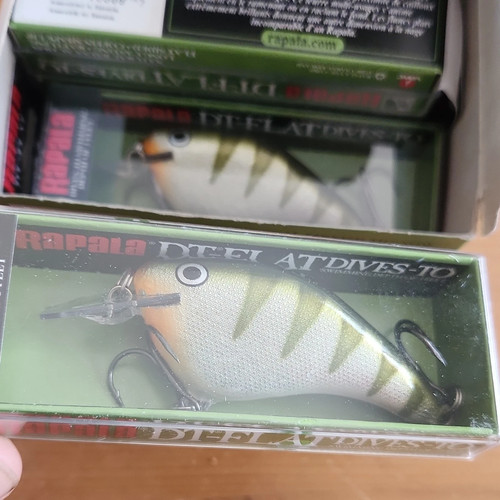 Rapala flat fishing lure - dt,