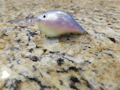 Custom painted rapala - custom,