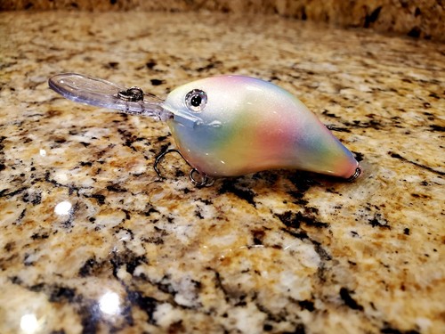Custom painted rapala dt10 - painted,