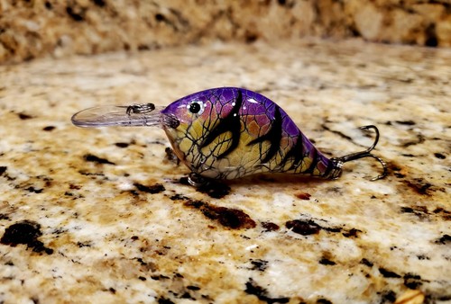 Custom painted rapala - rapala,
