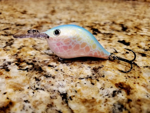 Custom painted rapala - custom,