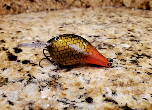 Custom painted rapala - custom, dt-6