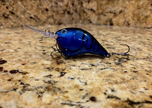 Custom painted rapala dt10 - custom,
