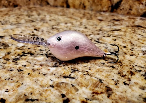Custom painted rapala - custom, dt-8