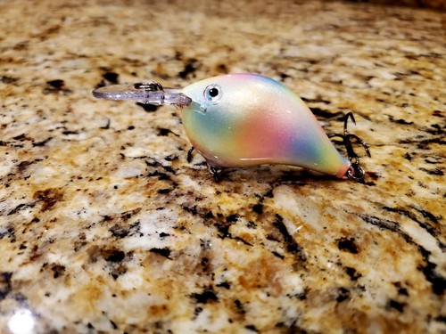 Custom painted rapala - painted, dt-6