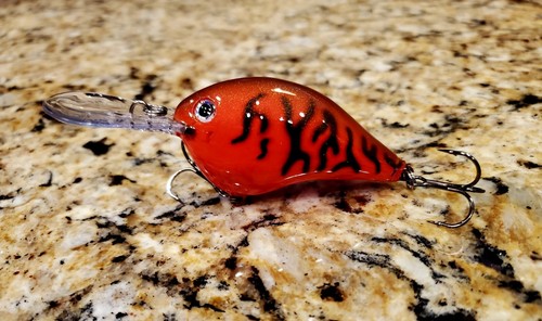 Custom painted rapala dt10 - custom,