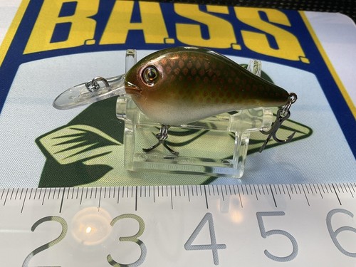 Custom painted crankbait dt - ,