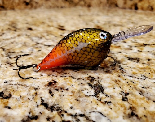 Custom painted rapala dt10 - custom,