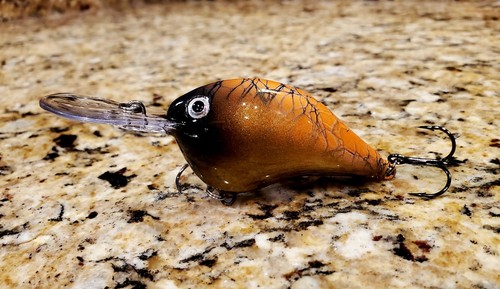 Custom painted rapala - custom, dt10