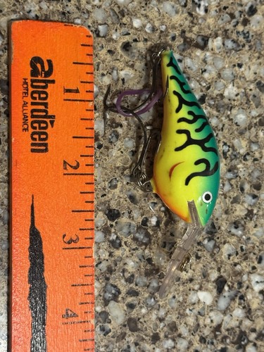 Rapala thug - rapala, to)