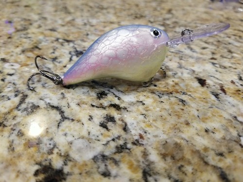 Custom painted rapala dt10 - custom,