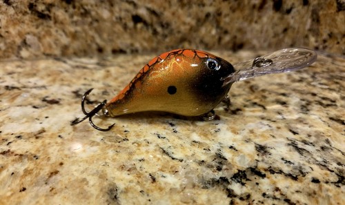 Custom painted rapala 8 - painted, dt-8