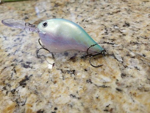 Custom painted rapala dt10 - custom,