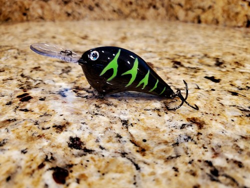 Custom painted rapala - custom,