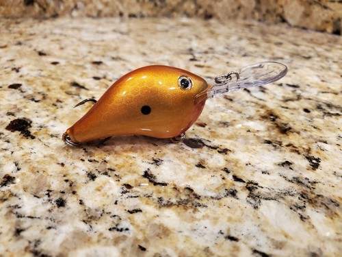 Custom painted rapala 8 - custom,