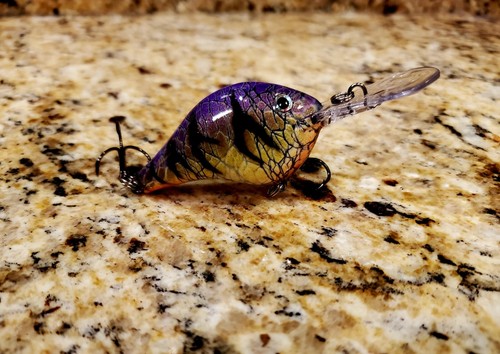 Custom painted rapala 8 - painted, dt-8