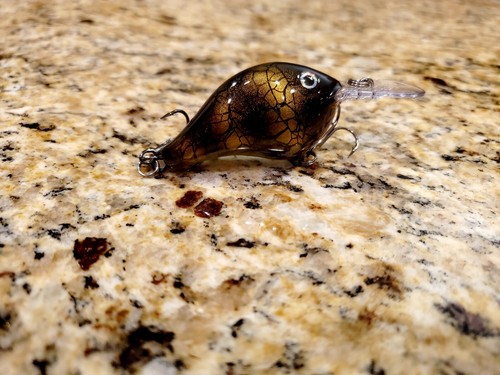 Custom painted rapala - painted,