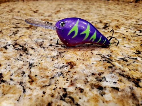 Custom painted rapala dt10 - painted,