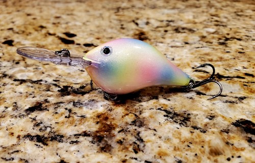 Custom painted rapala - custom, dt-8