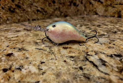 Custom painted rapala - custom, dt-8