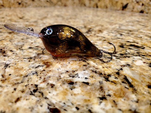Custom painted rapala dt10 - custom,