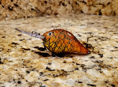 Custom painted rapala 8 - custom,