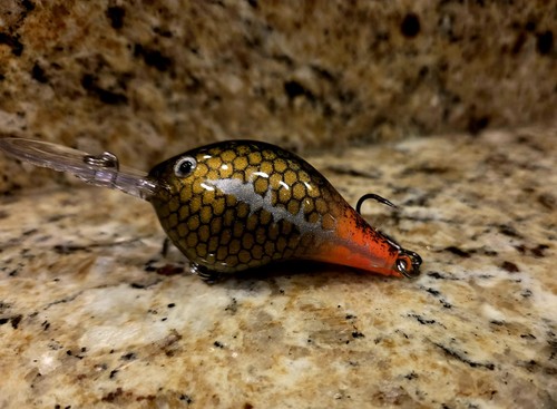 Custom painted rapala - rapala, dt-8